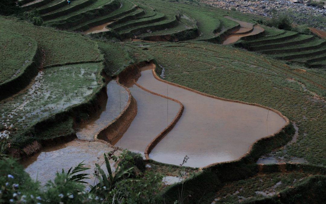 Vietnam 2024